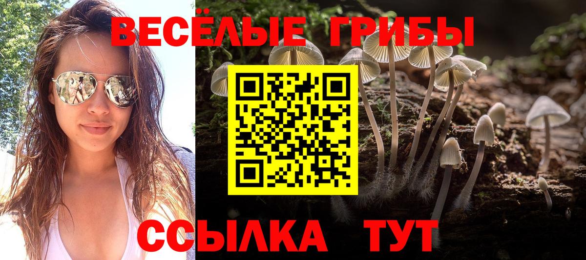 Приморско-Ахтарск  Галлюциногенные грибы Magic Shrooms  Вход с VPN 